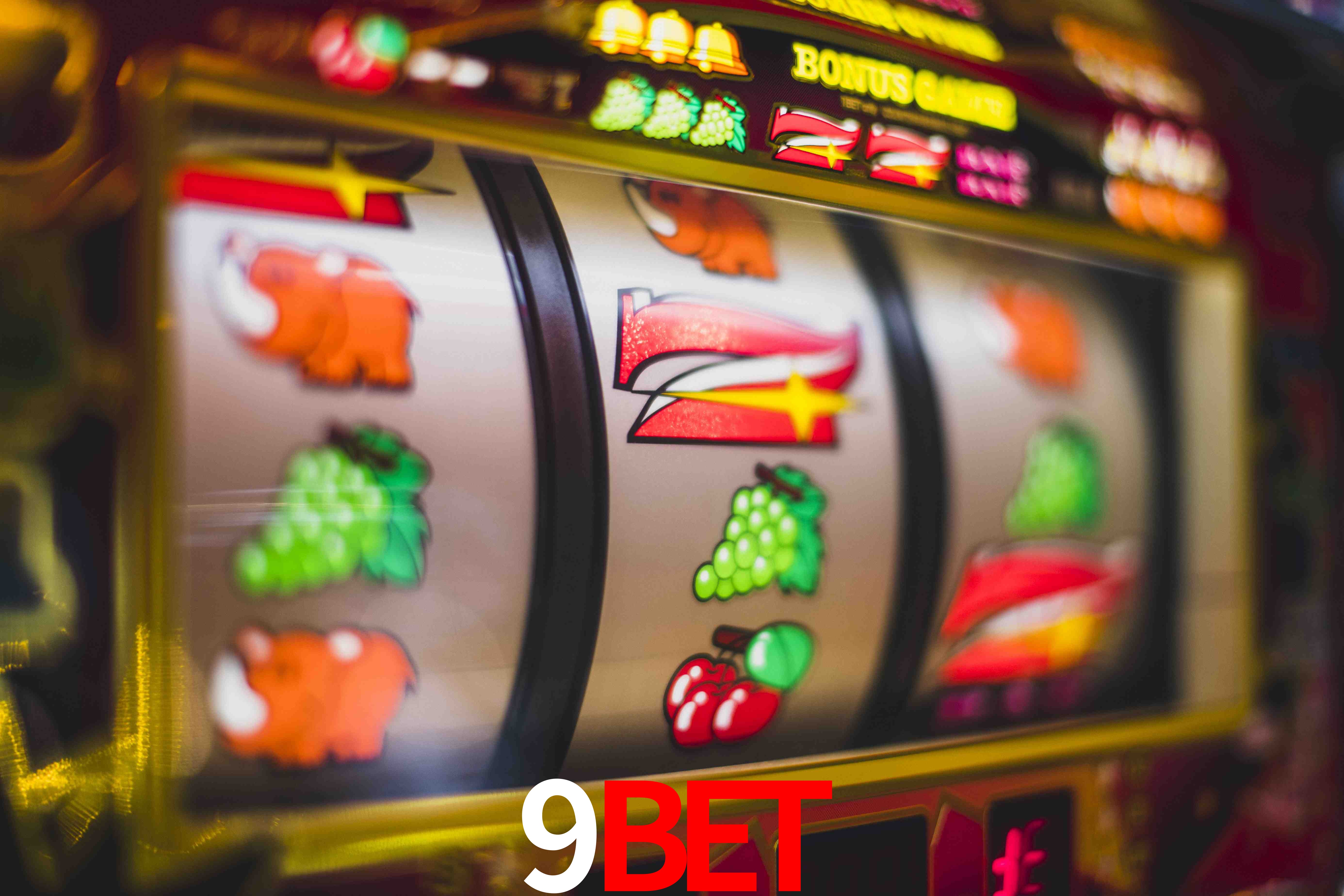 Sports Statistics 9bet